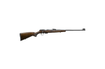 Cz 457 lux 22wmr