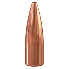 SPEER 6mm 75gr hollow point tnt varmint x100 (1205)