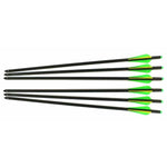 Horizone Carbon aftershock 20” crossbow bolts